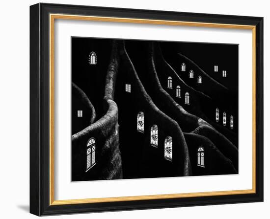 Windows of the Forest-Jacqueline Hammer-Framed Photographic Print