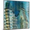 Windows - Old and New-Ursula Abresch-Mounted Premium Photographic Print