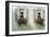 Windows With Flowerboxes-Zhen-Huan Lu-Framed Giclee Print