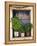 Windowsill, Paleohora, Crete, Greece-Peter Ryan-Framed Premier Image Canvas