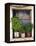 Windowsill, Paleohora, Crete, Greece-Peter Ryan-Framed Premier Image Canvas