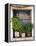 Windowsill, Paleohora, Crete, Greece-Peter Ryan-Framed Premier Image Canvas