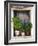 Windowsill, Paleohora, Crete, Greece-Peter Ryan-Framed Photographic Print