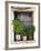 Windowsill, Paleohora, Crete, Greece-Peter Ryan-Framed Photographic Print