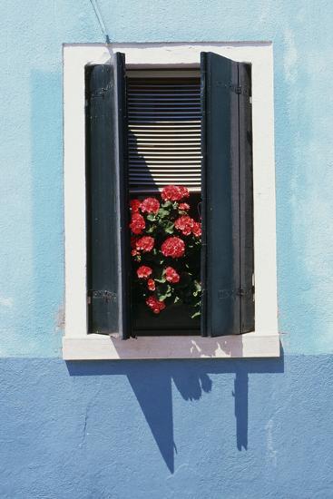 Windowwith Venetian Blinds And Shutters On Blue Wall Burano Windowwith Venetian Blinds And Shutters On Blue Wall Burano Venice Photographic Print By Robert Odea Art