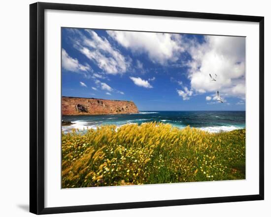 Winds from the Sea-Philippe Sainte-Laudy-Framed Photographic Print