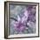 Windsong Orchid Blooms-Bill Jackson-Framed Giclee Print
