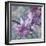 Windsong Orchid Blooms-Bill Jackson-Framed Giclee Print