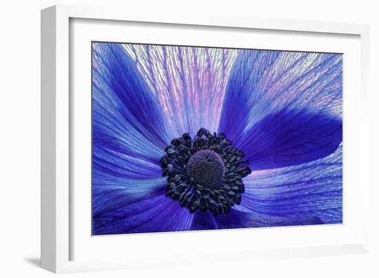 Windsong-Dawn LeBlanc-Framed Photographic Print