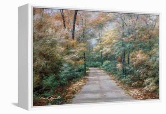 Windsong-Diane Romanello-Framed Stretched Canvas