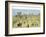 Windsor, 2008-Gillian Lawson-Framed Giclee Print