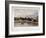 Windsor Castle, Berkshire, 1851-Thomas Picken-Framed Giclee Print