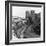 Windsor Castle, Berkshire, 1954-McLelland-Framed Photographic Print