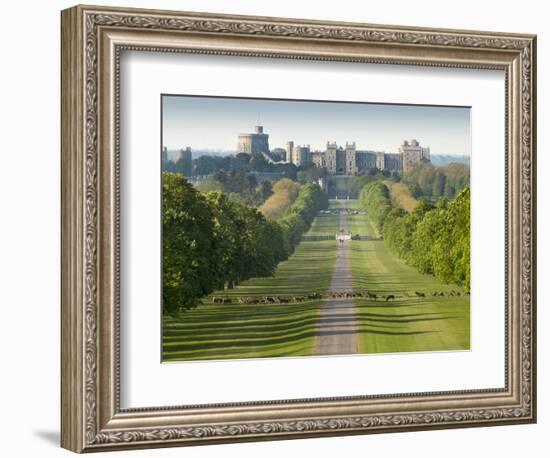 Windsor Castle, Berkshire, is seen with deer in the foreground on Long Walk-Charles Bowman-Framed Photographic Print