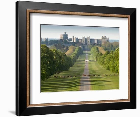 Windsor Castle, Berkshire, is seen with deer in the foreground on Long Walk-Charles Bowman-Framed Photographic Print