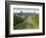 Windsor Castle, Berkshire, is seen with deer in the foreground on Long Walk-Charles Bowman-Framed Photographic Print