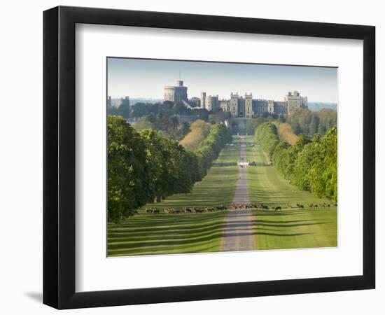 Windsor Castle, Berkshire, is seen with deer in the foreground on Long Walk-Charles Bowman-Framed Photographic Print