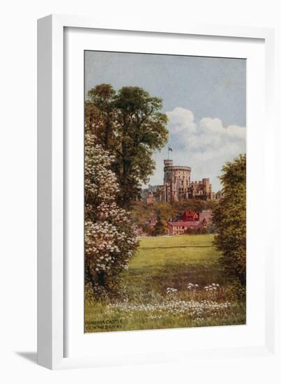 Windsor Castle from the Brocks-Alfred Robert Quinton-Framed Premium Giclee Print