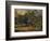 Windsor Forest, c1835-James Stark-Framed Giclee Print