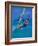 Windsurfer, Aruba, Caribbean-Robin Hill-Framed Photographic Print