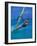 Windsurfer, Aruba, Caribbean-Robin Hill-Framed Photographic Print