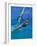 Windsurfer, Aruba, Caribbean-Robin Hill-Framed Photographic Print