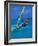 Windsurfer, Aruba, Caribbean-Robin Hill-Framed Photographic Print