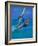 Windsurfer, Aruba, Caribbean-Robin Hill-Framed Photographic Print