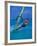 Windsurfer, Aruba, Caribbean-Robin Hill-Framed Photographic Print