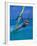 Windsurfer, Aruba, Caribbean-Robin Hill-Framed Photographic Print