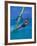 Windsurfer, Aruba, Caribbean-Robin Hill-Framed Photographic Print