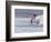 Windsurfer, Hookipa Beach Park, Maui, Hawaii, USA-Cathy & Gordon Illg-Framed Photographic Print