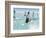 Windsurfer, Jump, Bolonia, Near Tarifa, Andalucia, Spain, Europe-Giles Bracher-Framed Photographic Print