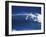 Windsurfer Surfing-null-Framed Photographic Print