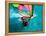 Windsurfing, Aruba, Caribbean-James Kay-Framed Premier Image Canvas