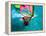 Windsurfing, Aruba, Caribbean-James Kay-Framed Premier Image Canvas