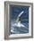 Windsurfing in Hood River, Oregon, USA-Lee Kopfler-Framed Photographic Print