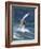 Windsurfing in Hood River, Oregon, USA-Lee Kopfler-Framed Photographic Print