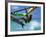 Windsurfing Jumping, Aruba, Caribbean-James Kay-Framed Photographic Print