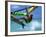 Windsurfing Jumping, Aruba, Caribbean-James Kay-Framed Photographic Print