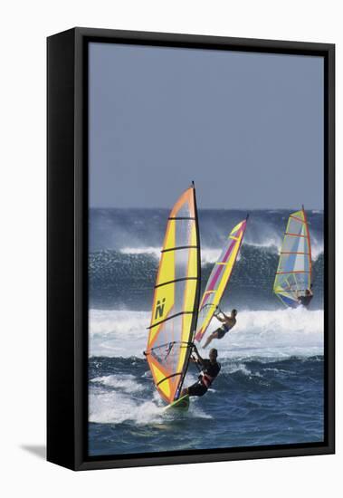 Windsurfing on the Ocean at Sunset, Maui, Hawaii, USA-Gerry Reynolds-Framed Premier Image Canvas