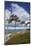 Windswept Pines on the Western Beach of the Darss Peninsula-Uwe Steffens-Mounted Photographic Print