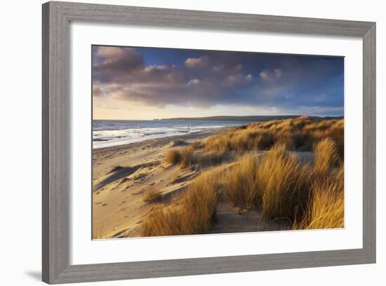 Windswept Sand Dunes on the Beach at Studland Bay, with Views Towards Old Harry Rocks, Dorset-Adam Burton-Framed Photographic Print