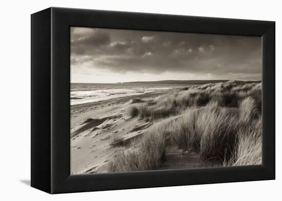 Windswept Sand Dunes on the Beach at Studland Bay, with Views Towards Old Harry Rocks, Dorset-Adam Burton-Framed Premier Image Canvas