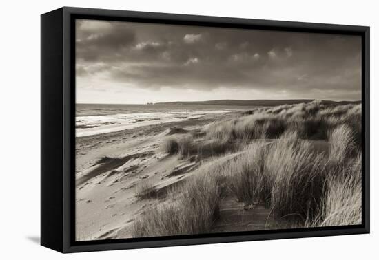 Windswept Sand Dunes on the Beach at Studland Bay, with Views Towards Old Harry Rocks, Dorset-Adam Burton-Framed Premier Image Canvas