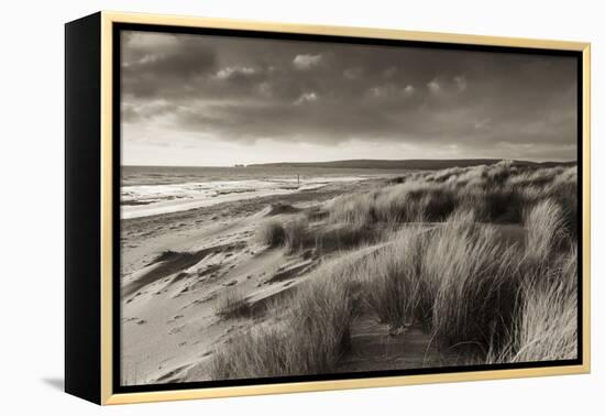 Windswept Sand Dunes on the Beach at Studland Bay, with Views Towards Old Harry Rocks, Dorset-Adam Burton-Framed Premier Image Canvas