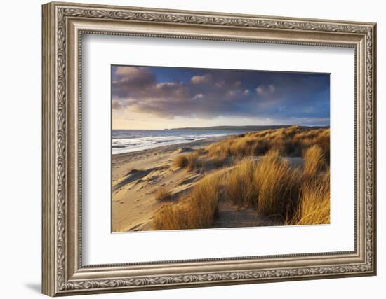 Windswept Sand Dunes on the Beach at Studland Bay, with Views Towards Old Harry Rocks, Dorset-Adam Burton-Framed Photographic Print