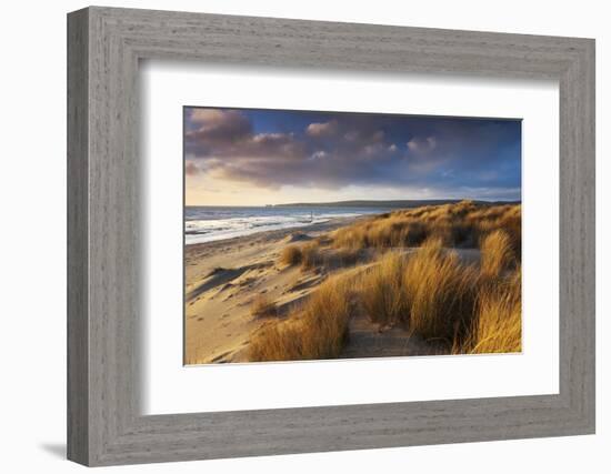 Windswept Sand Dunes on the Beach at Studland Bay, with Views Towards Old Harry Rocks, Dorset-Adam Burton-Framed Photographic Print