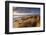 Windswept Sand Dunes on the Beach at Studland Bay, with Views Towards Old Harry Rocks, Dorset-Adam Burton-Framed Photographic Print