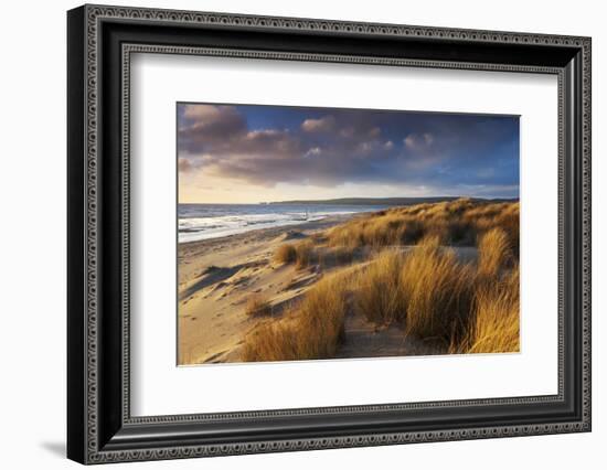 Windswept Sand Dunes on the Beach at Studland Bay, with Views Towards Old Harry Rocks, Dorset-Adam Burton-Framed Photographic Print